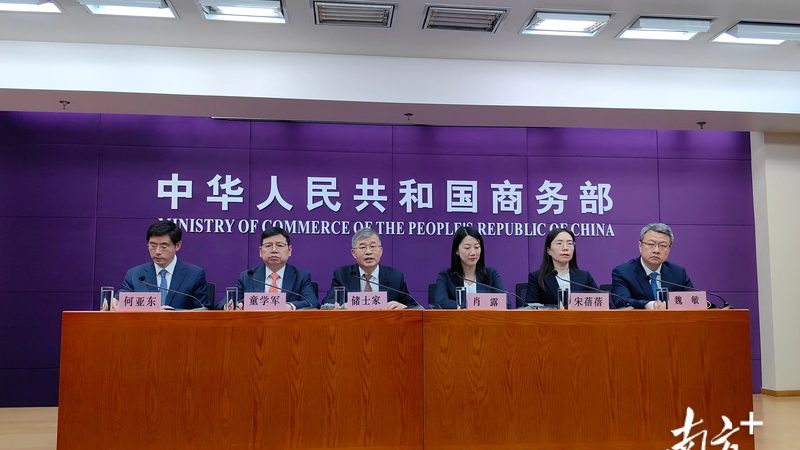 代理记账与代账公司：本质区别与选择要点